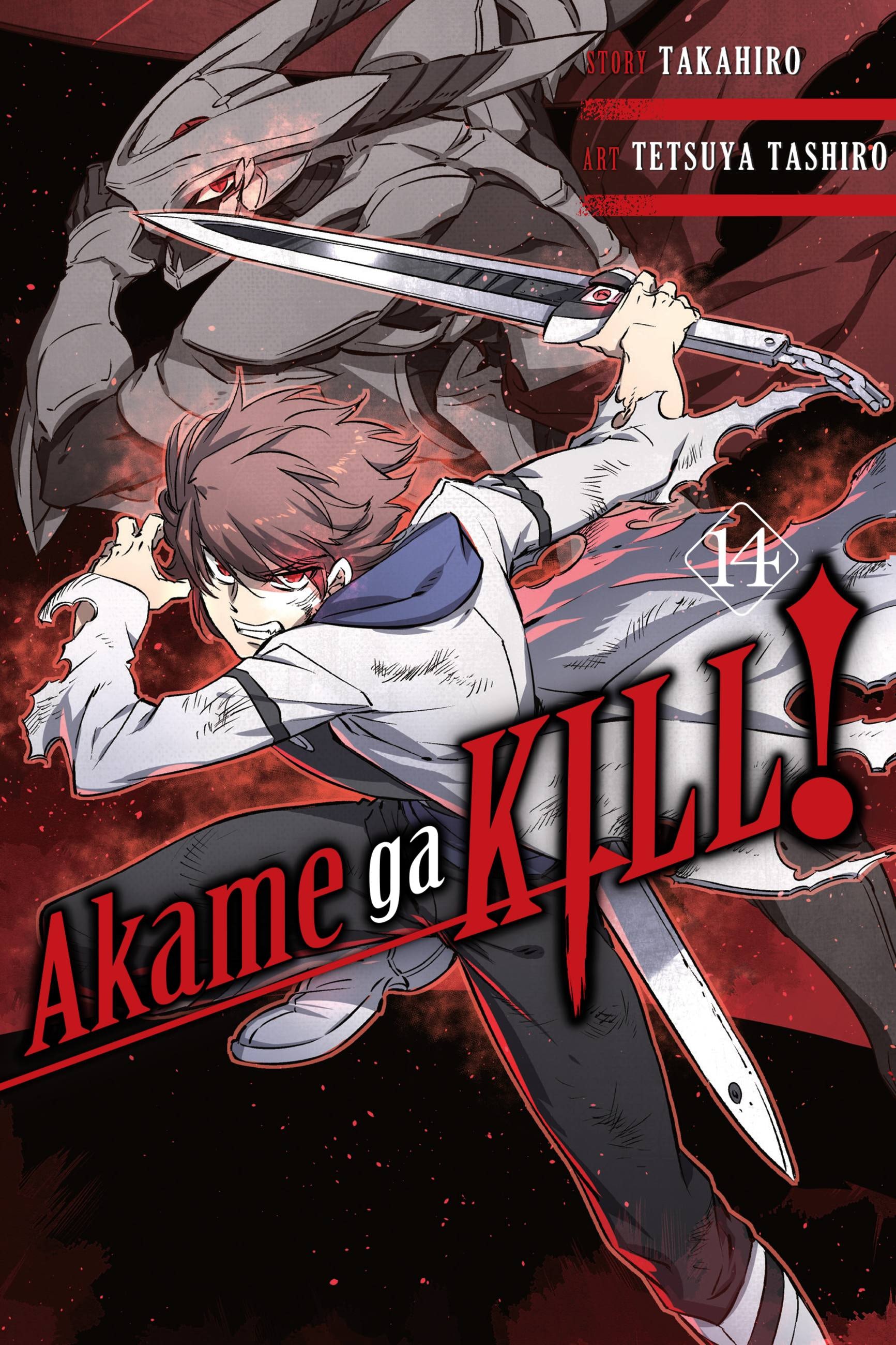 Product Image: Akame ga KILL!, Vol. 14