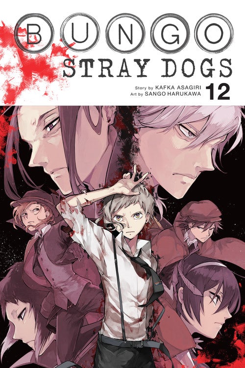 Product Image: Bungo Stray Dogs, Vol. 12