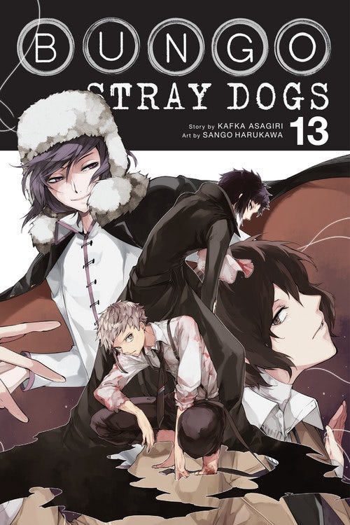 Product Image: Bungo Stray Dogs, Vol. 13