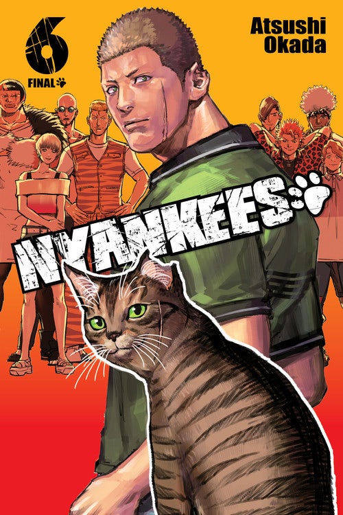 Product Image: Nyankees, Vol. 6