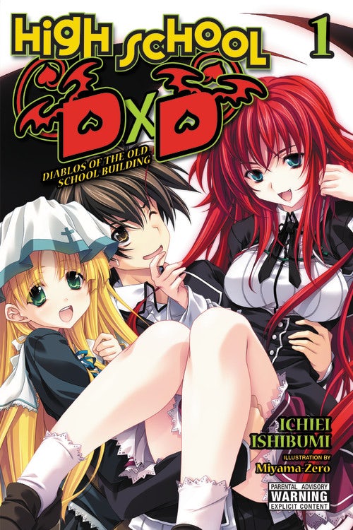 Product Image: High School DxD, Vol. 1 (light novel)