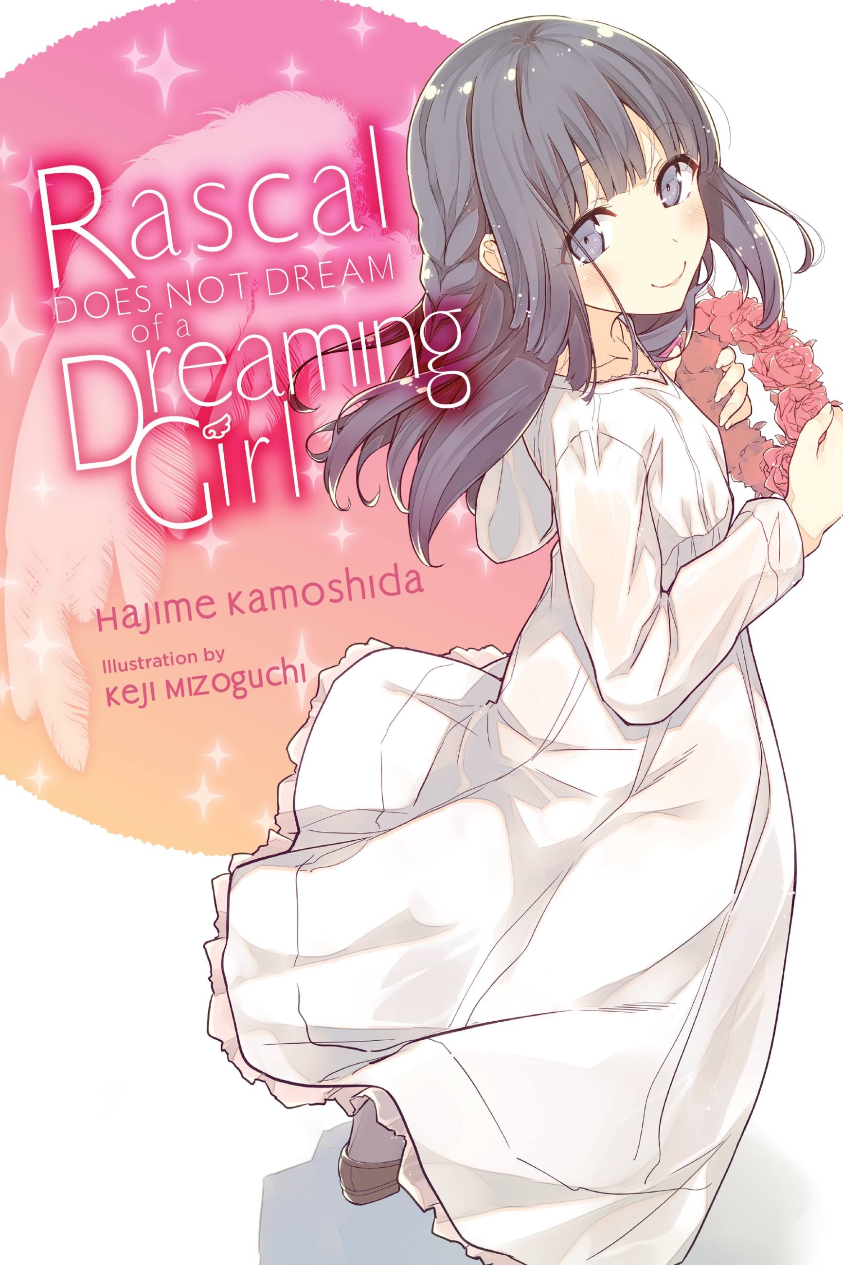 Product Image: Rascal Does Not Dream of a Dreaming Girl (light novel)