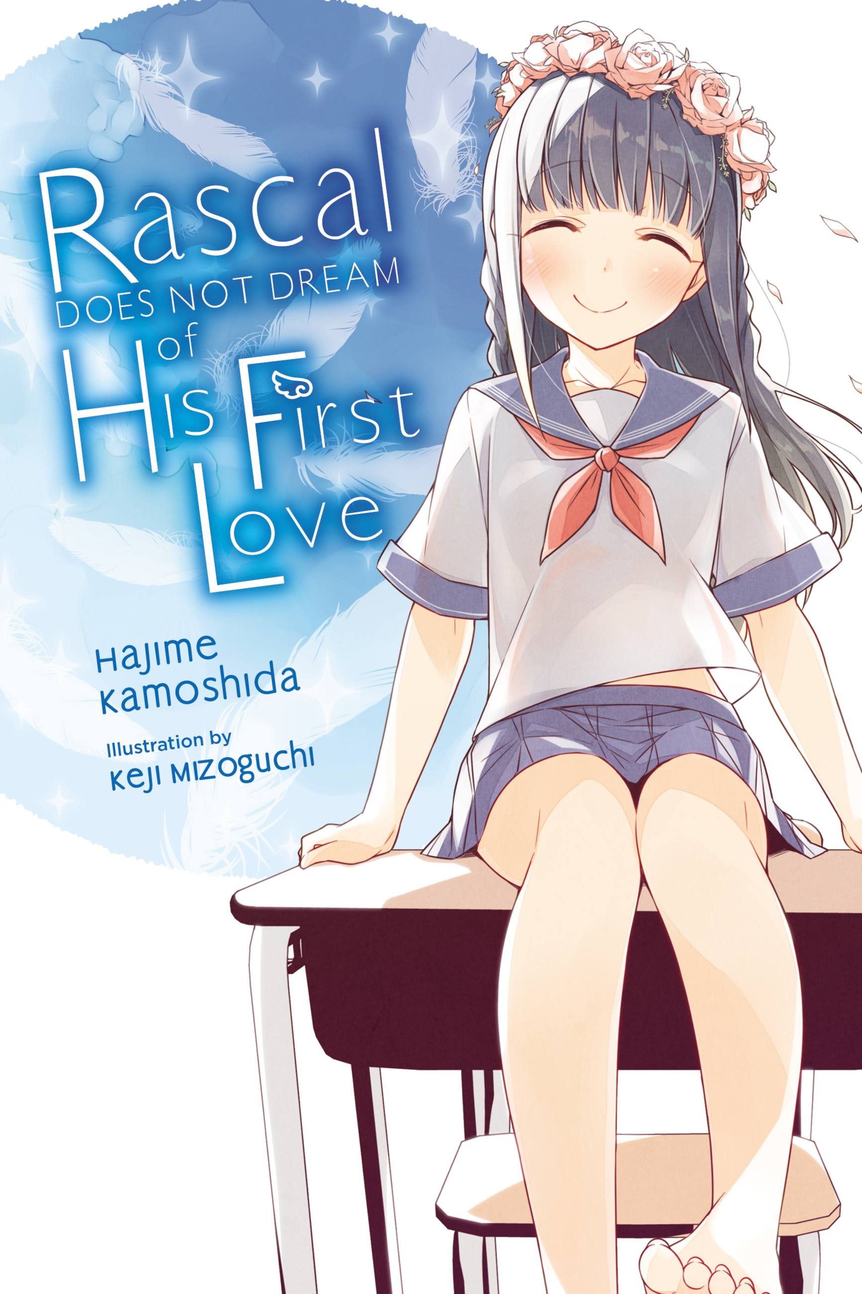 Product Image: Rascal Does Not Dream of His First Love (light novel)