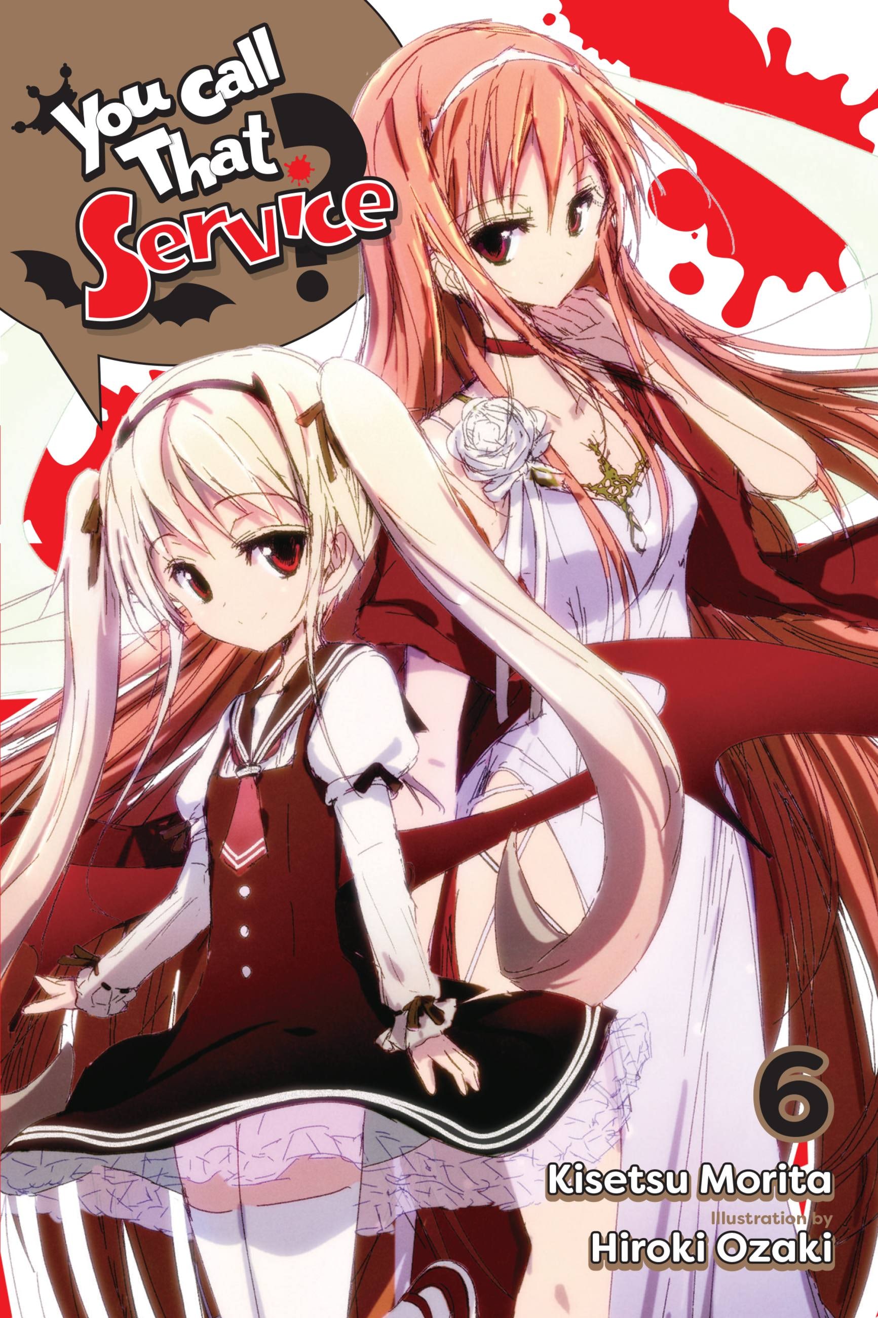 Product Image: You Call That Service?, Vol. 6 (light novel)