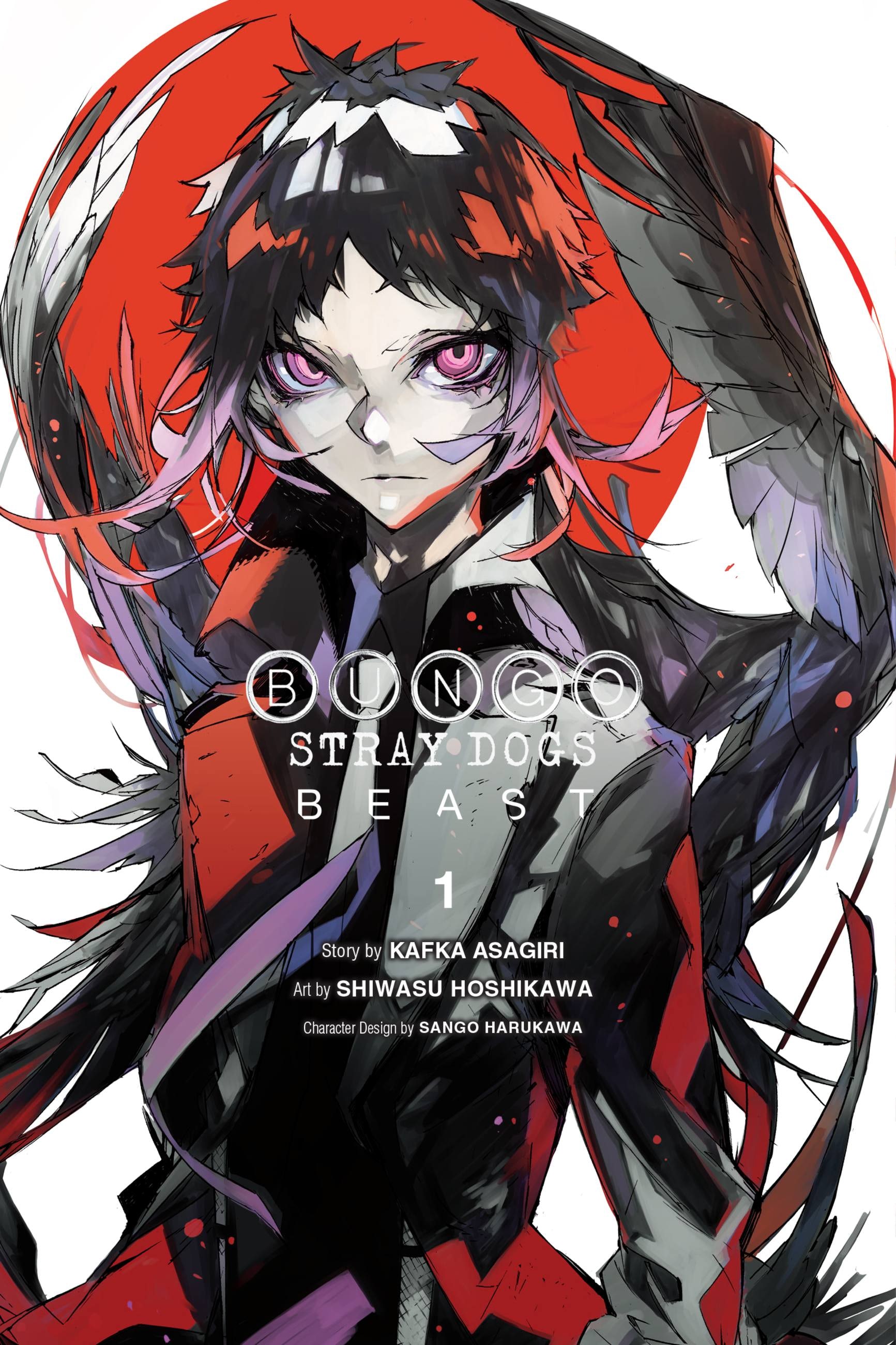 Product Image: Bungo Stray Dogs: Beast, Vol. 1