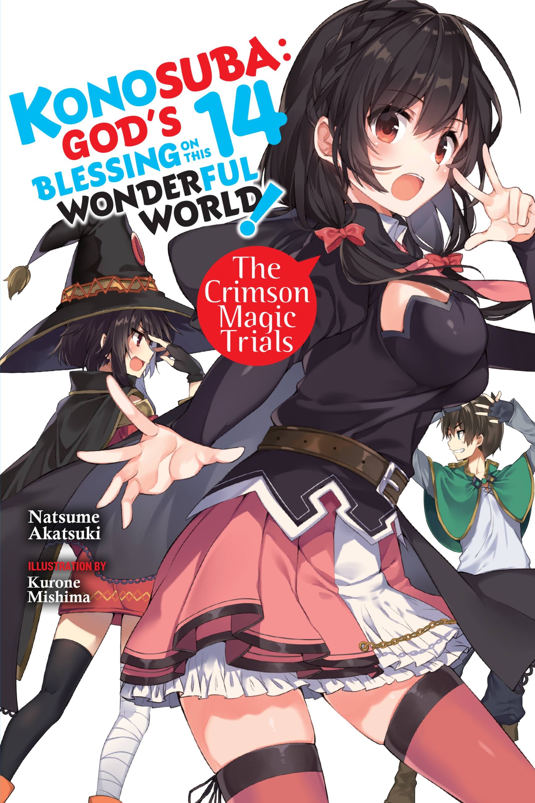 Product Image: Konosuba: God's Blessing on This Wonderful World!, Vol. 14 (light novel)