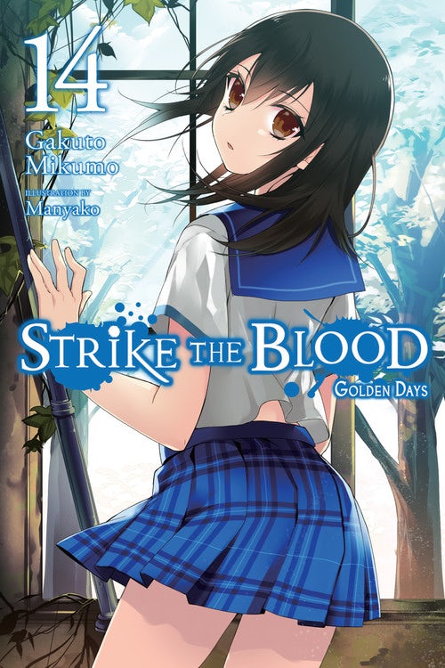 Product Image: Strike the Blood, Vol. 14 (light novel)