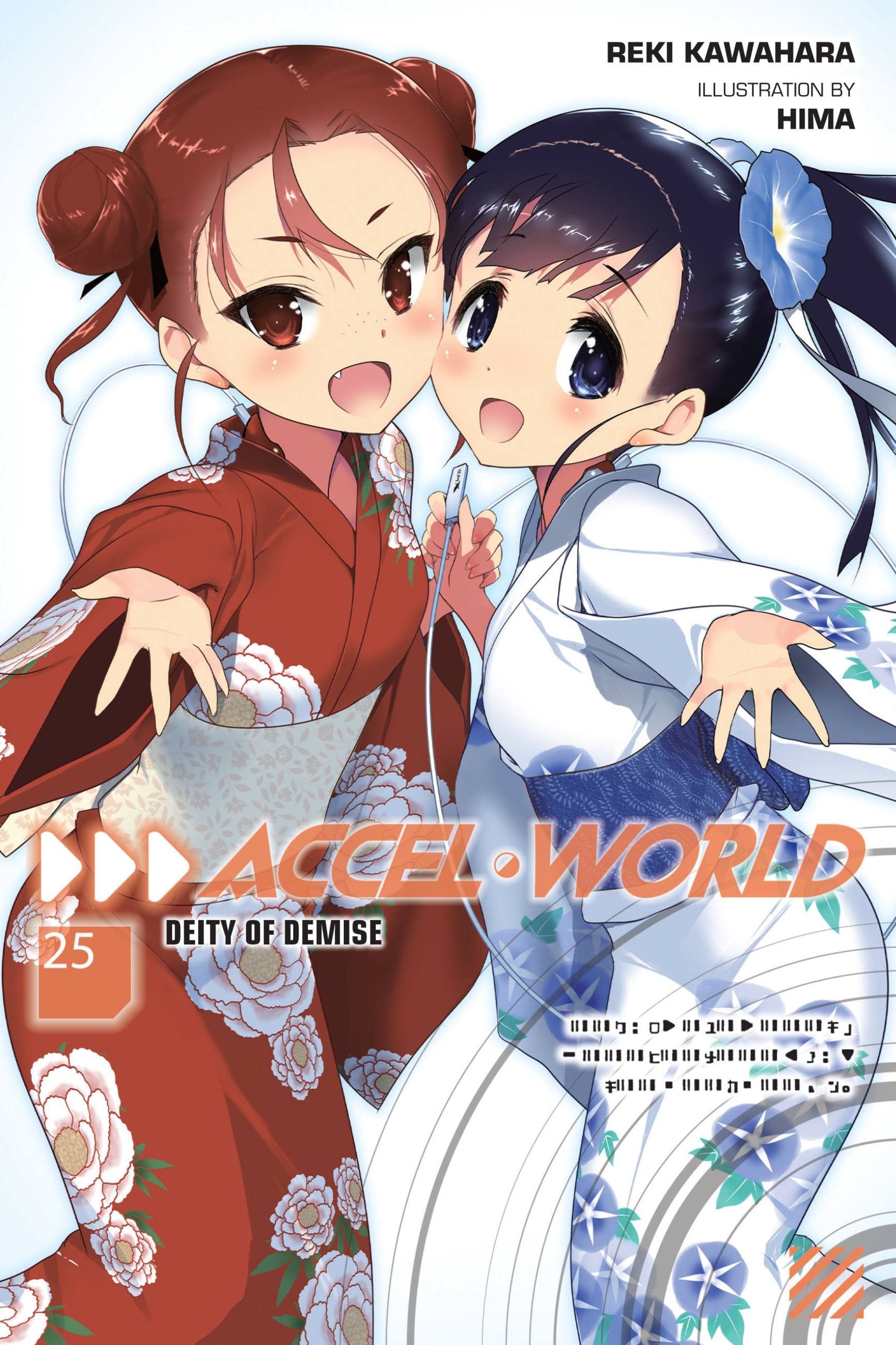 Product Image: Accel World, Vol. 25 (light novel)