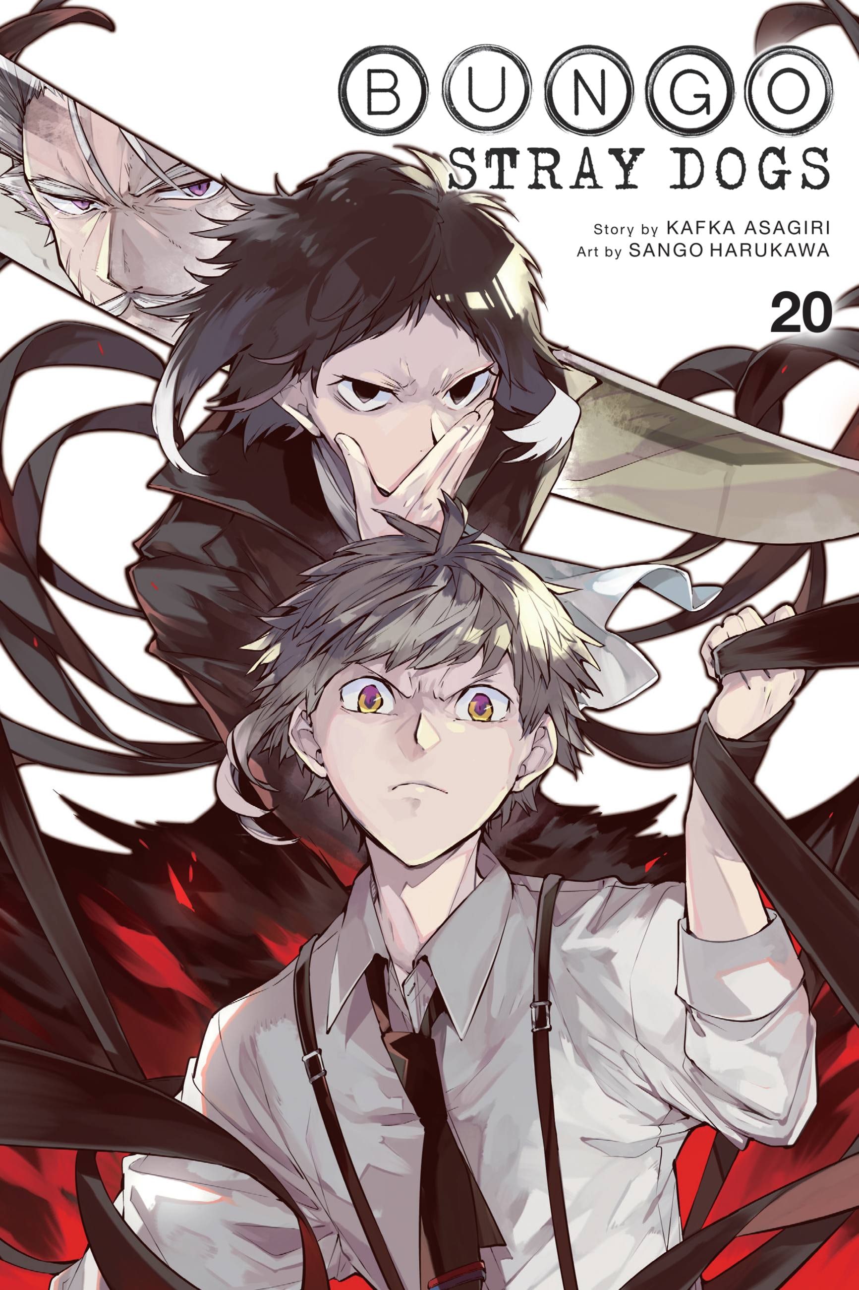 Product Image: Bungo Stray Dogs, Vol. 20