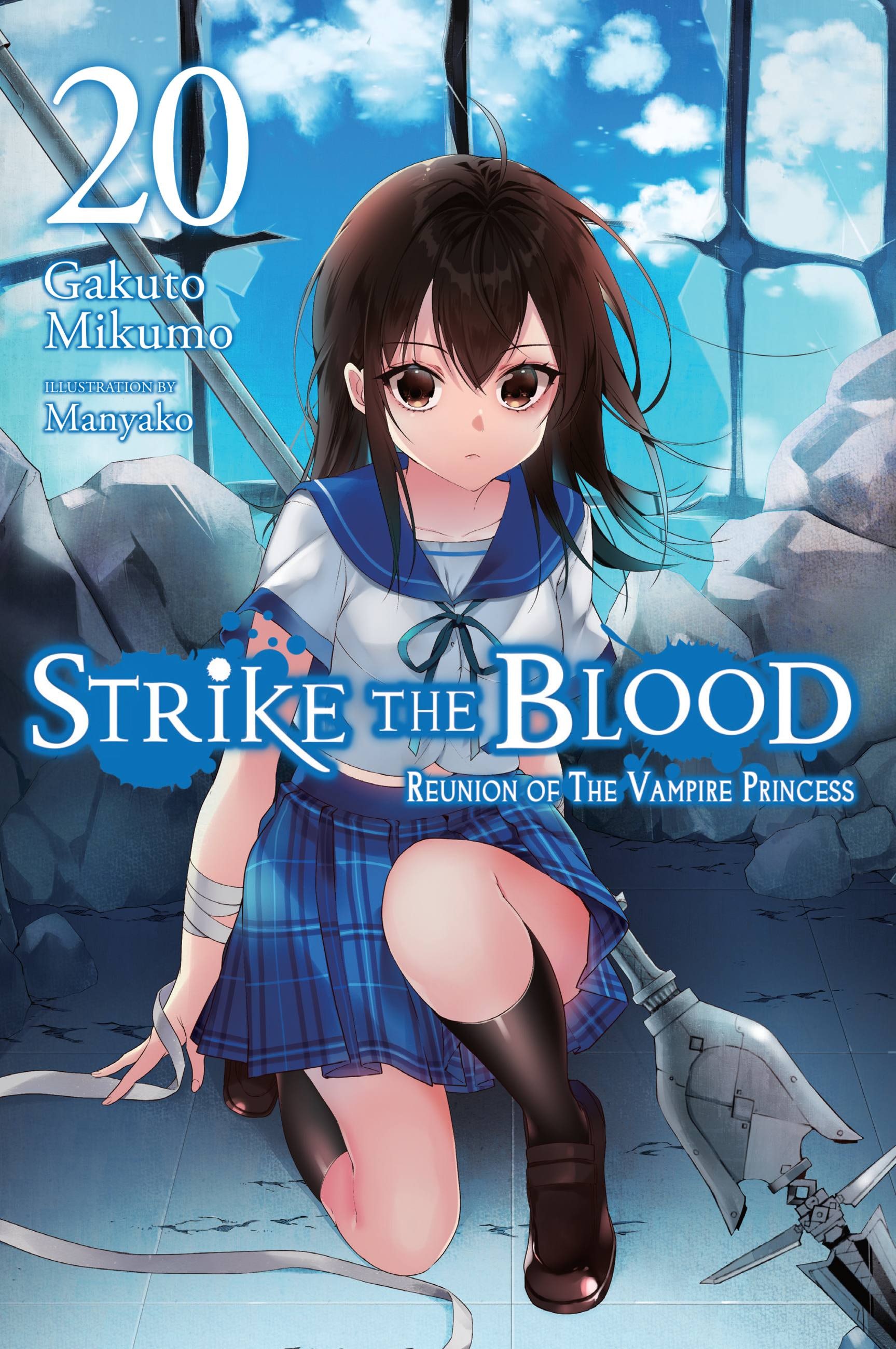 Product Image: Strike the Blood, Vol. 20 (light novel)