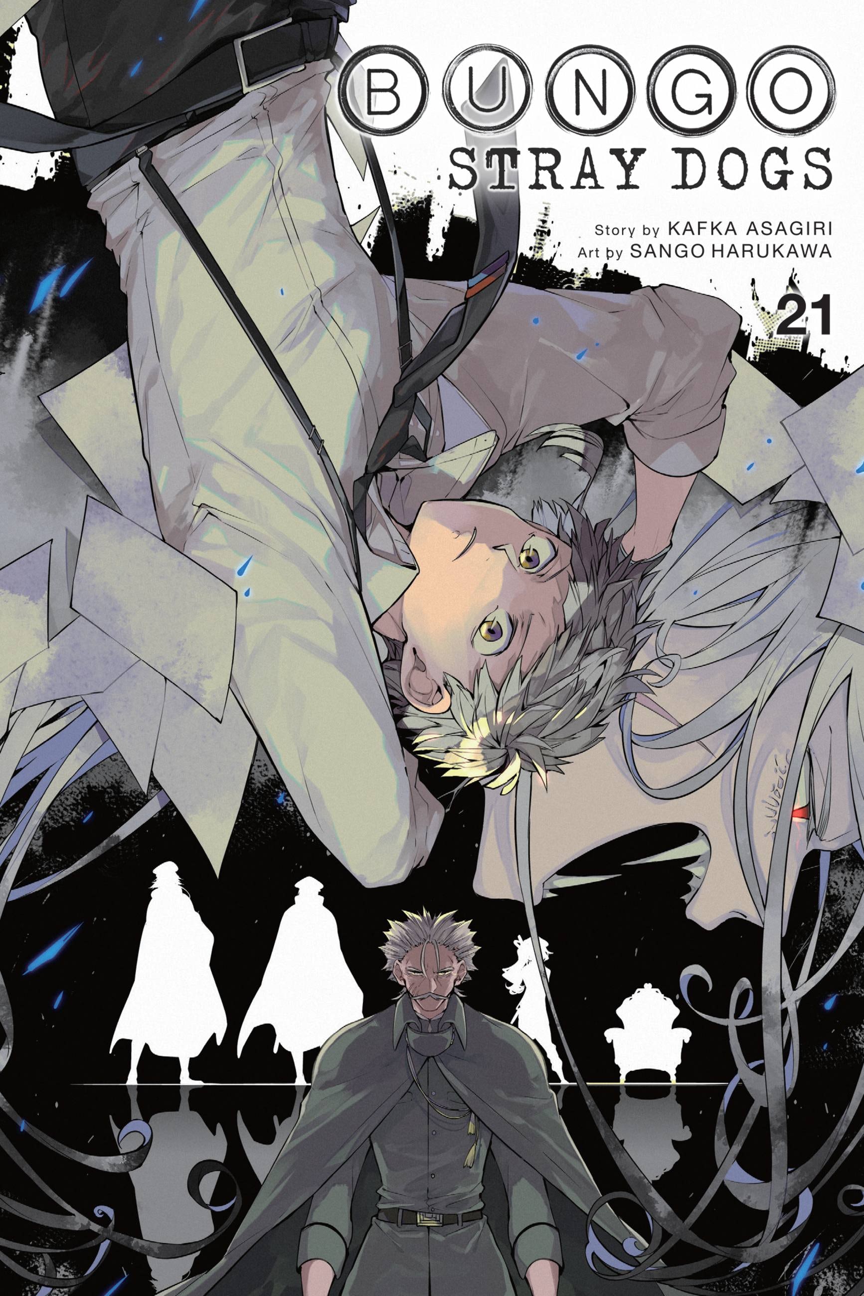 Product Image: Bungo Stray Dogs, Vol. 21