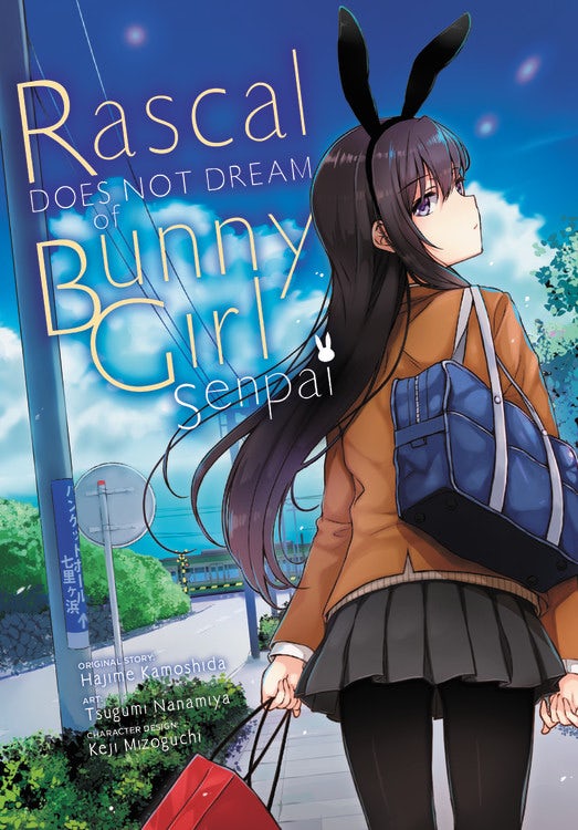 Product Image: Rascal Does Not Dream of Bunny Girl Senpai (manga)