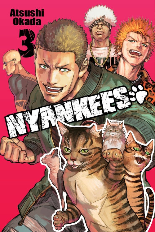 Product Image: Nyankees, Vol. 3