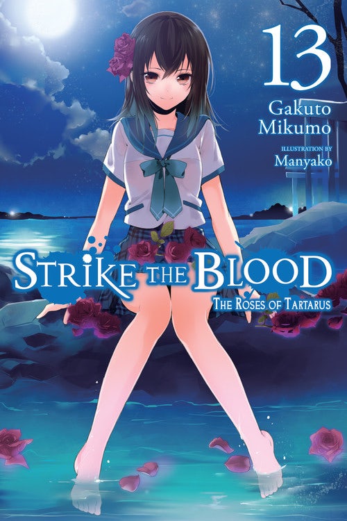 Product Image: Strike the Blood, Vol. 13 (light novel)