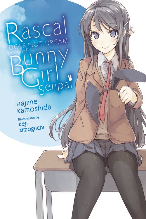 Product Image: Rascal Does Not Dream of Bunny Girl Senpai (light novel)